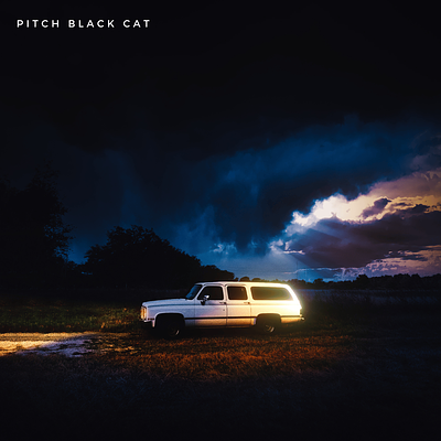 Pitch Black Cat