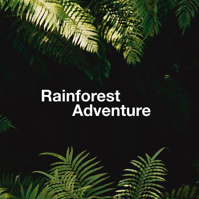 Rainforest Adventure