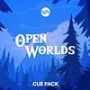 Open Worlds