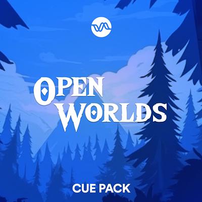 Open Worlds