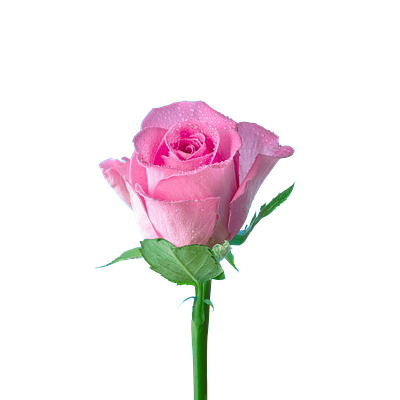 Romantic